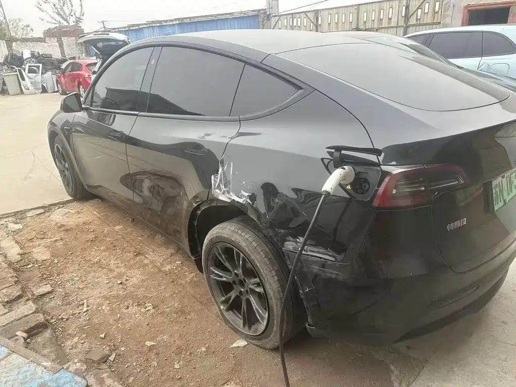 Tesla Model Y — миниатюра 4