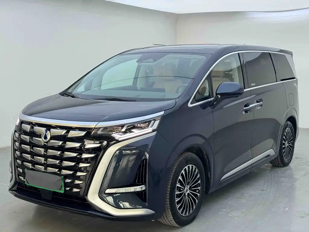 2023 Denza D9 - zdjęcie 1 z 9