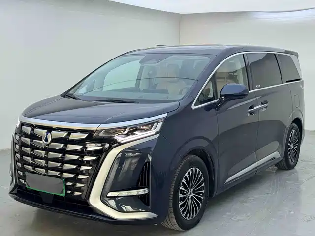 2023 Denza D9