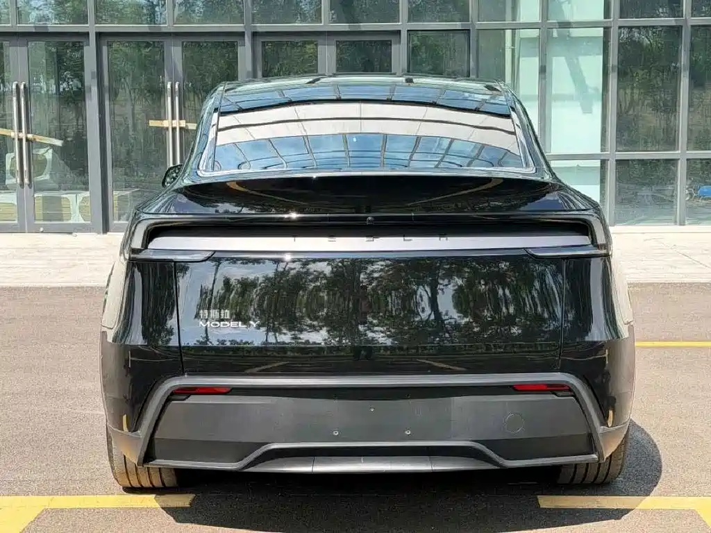 Tesla Model Y — миниатюра 5