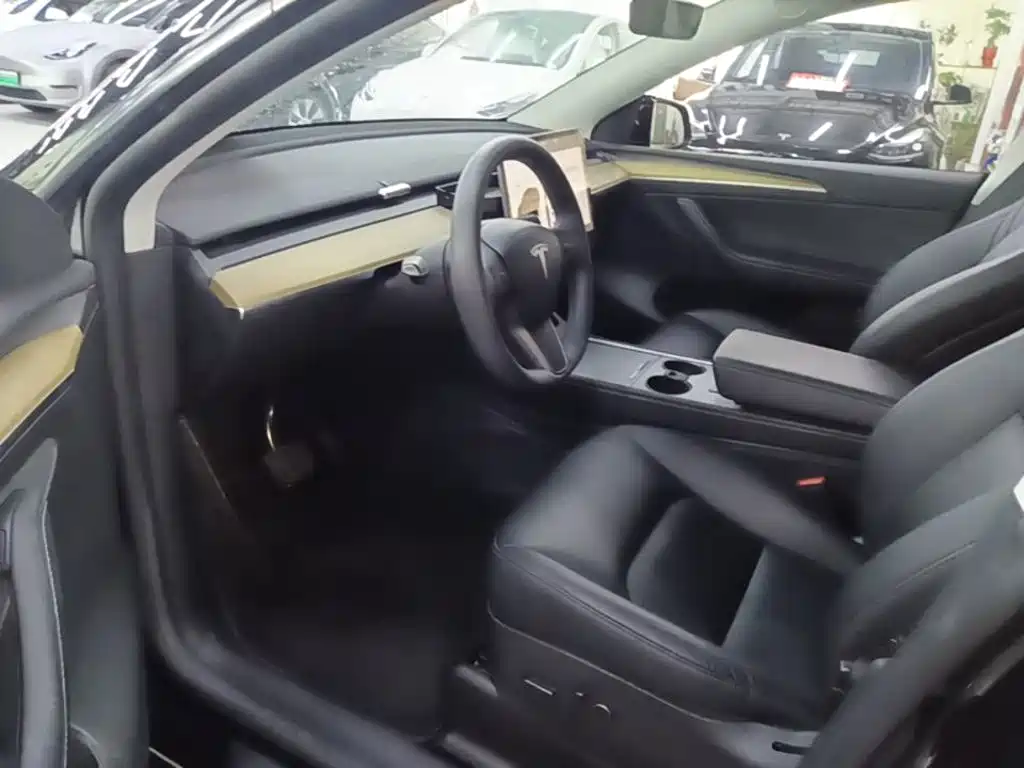 Tesla Model Y — миниатюра 16