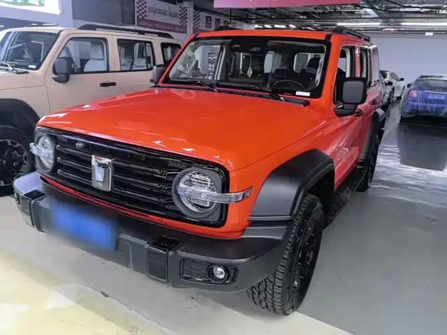 2025 TANK 300