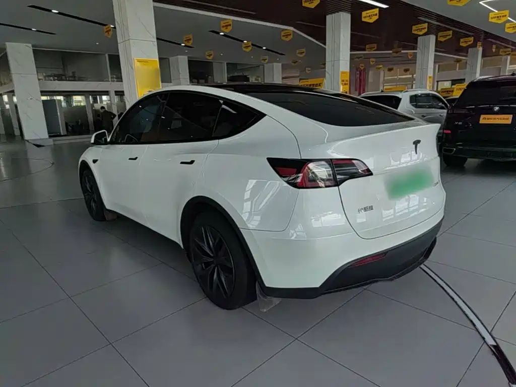Tesla Model Y — миниатюра 5