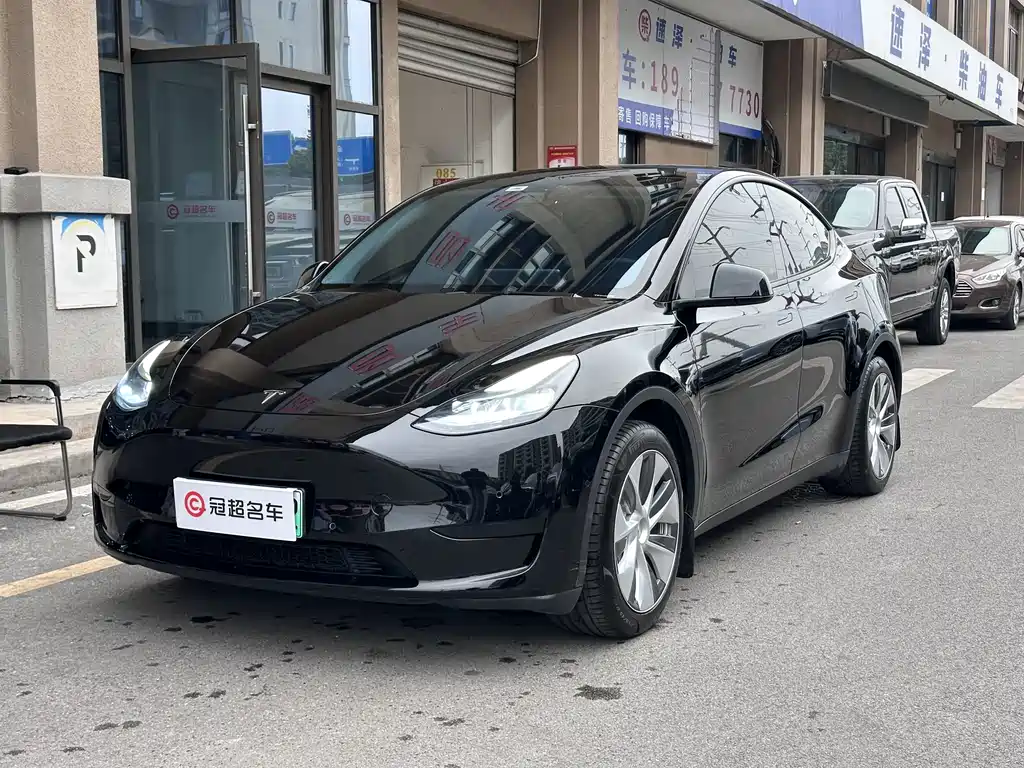 Tesla Model Y — миниатюра 2