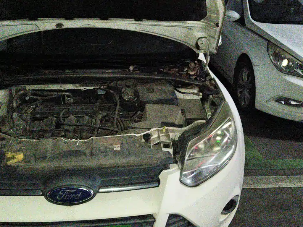 Ford Focus — миниатюра 21