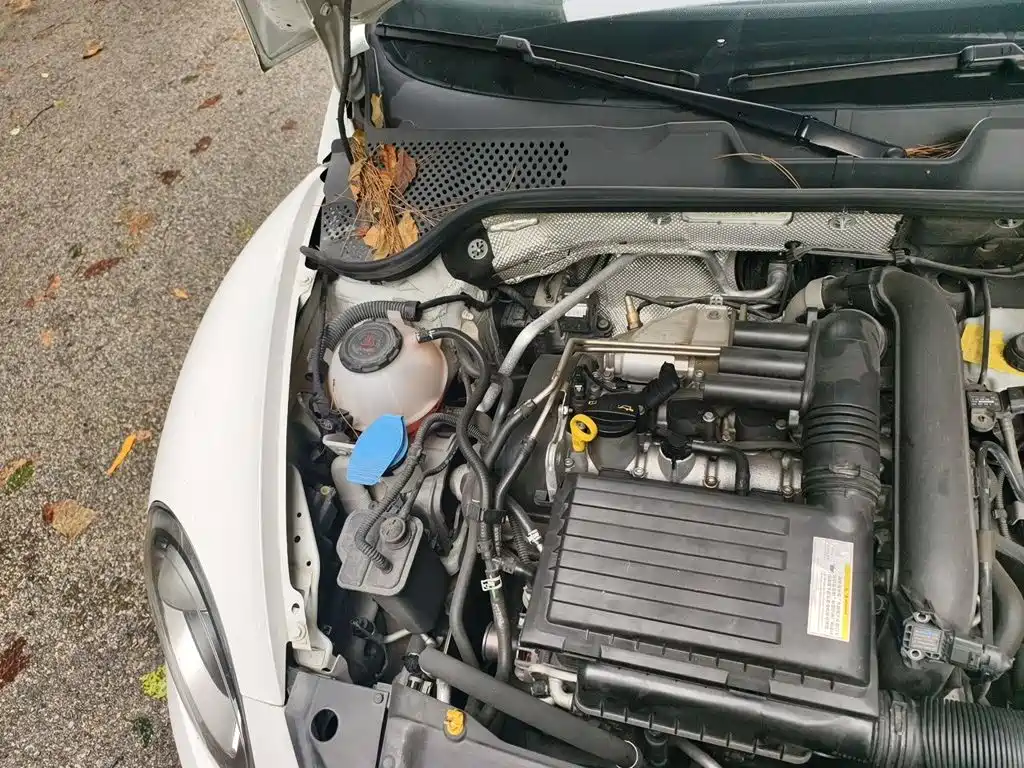Volkswagen Beetle — миниатюра 20