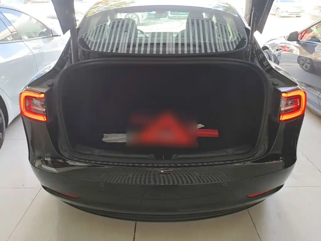 Tesla Model 3 — миниатюра 19