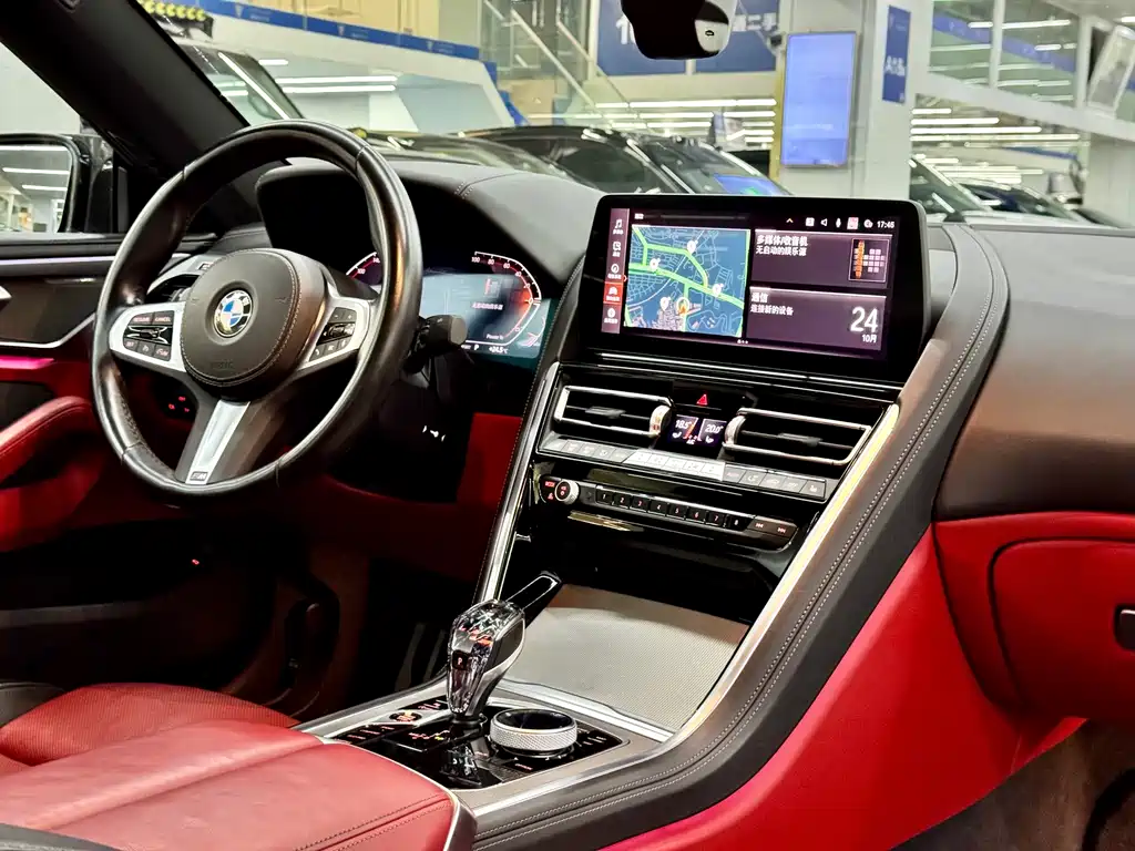 BMW 8 Series — миниатюра 7