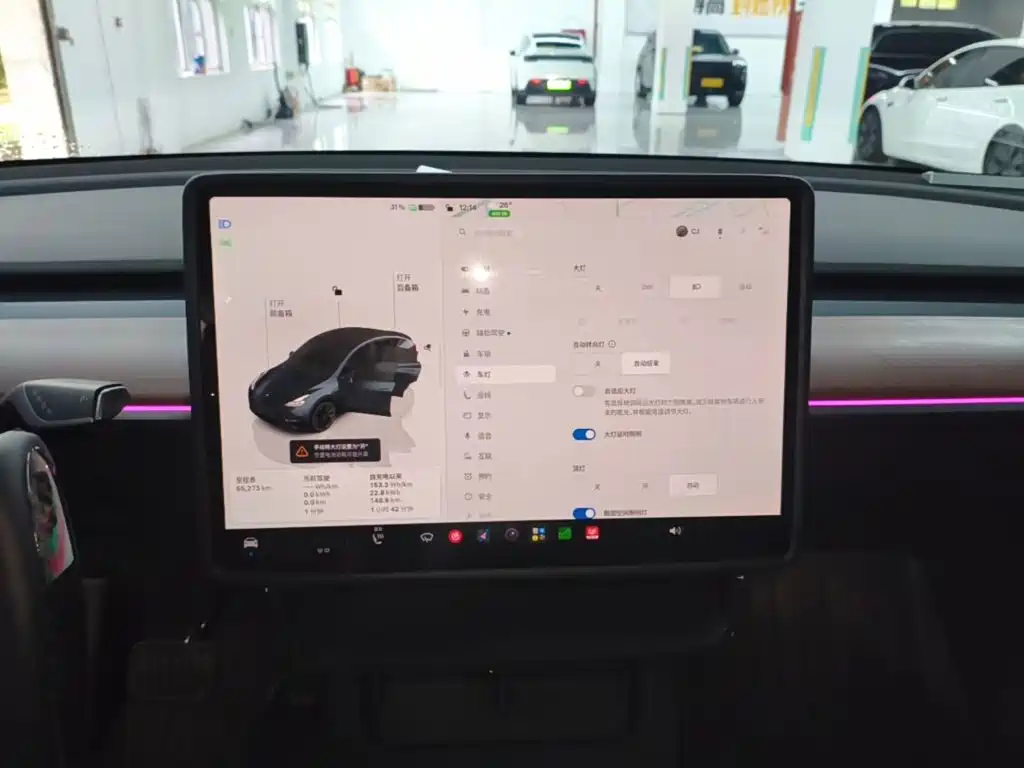 Tesla Model Y — миниатюра 13