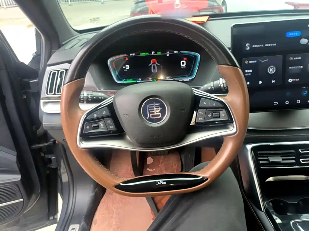 BYD Tang New Energy — миниатюра 11