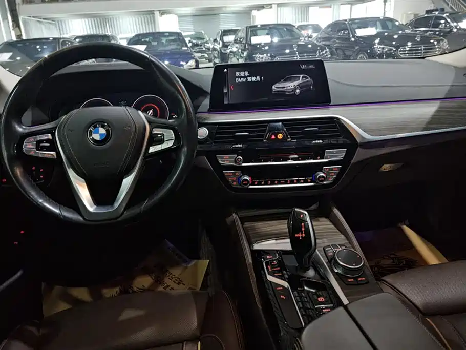 BMW 5 SERIES NEW ENERGY