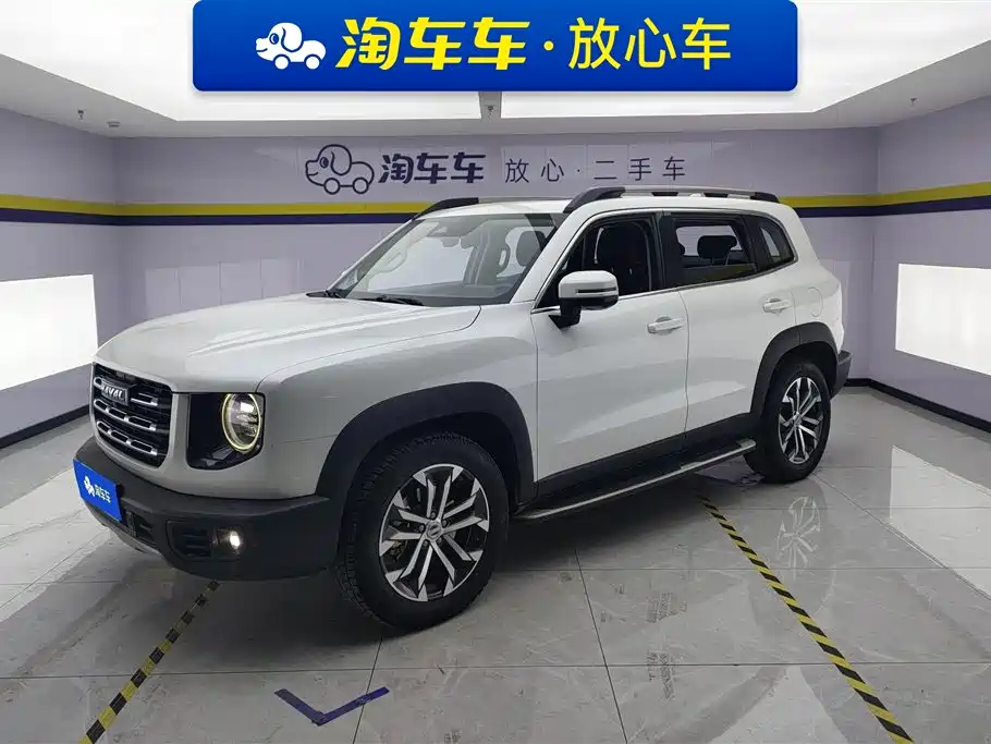 HAVAL BIG DOG