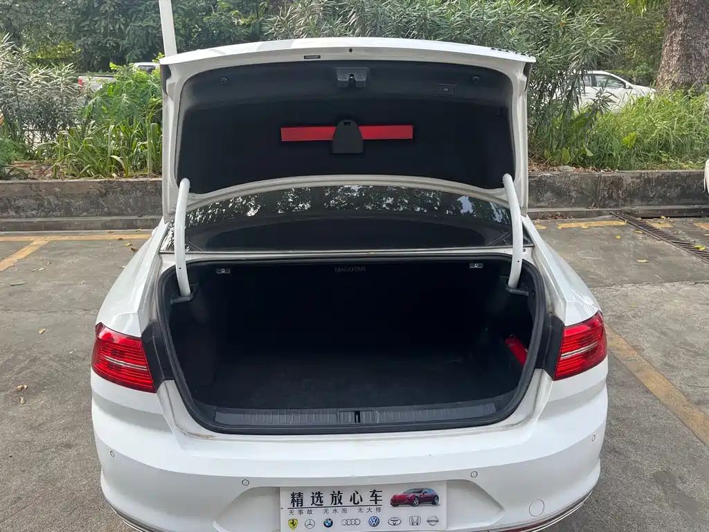 Volkswagen Magotan — миниатюра 14