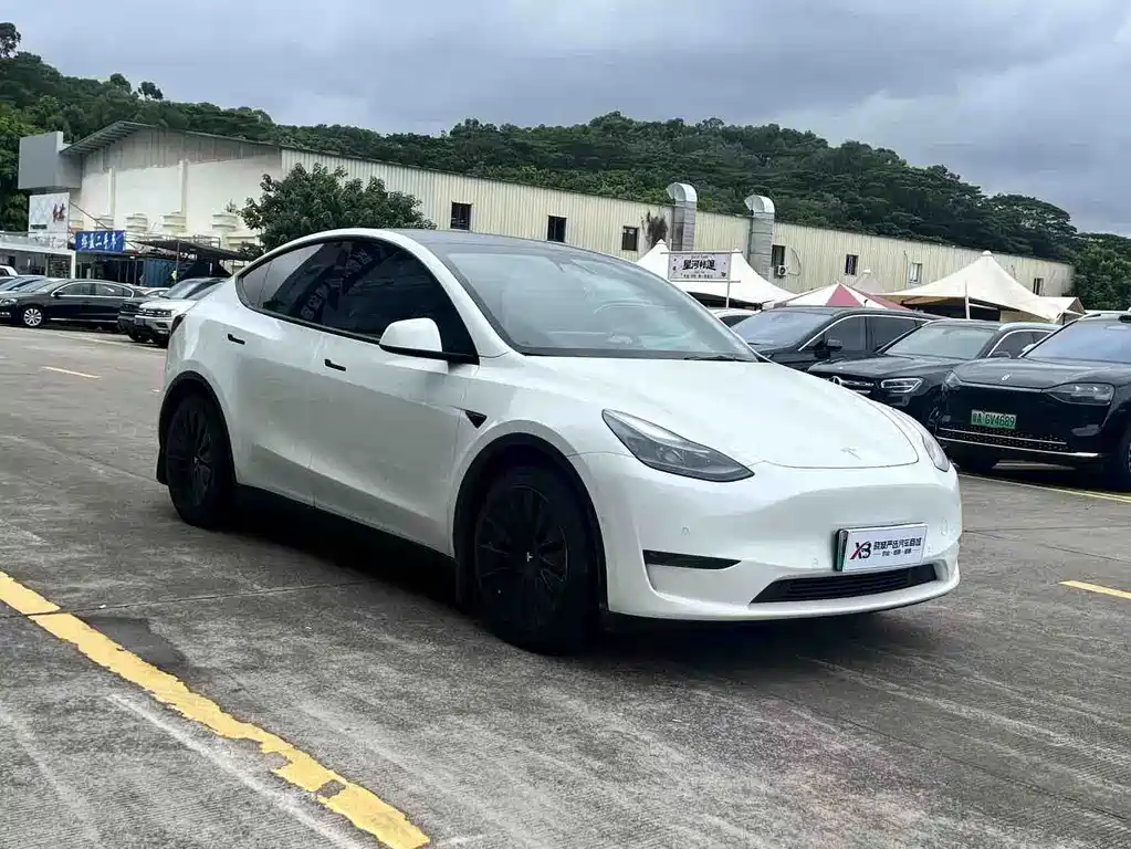 Tesla Model Y — миниатюра 3