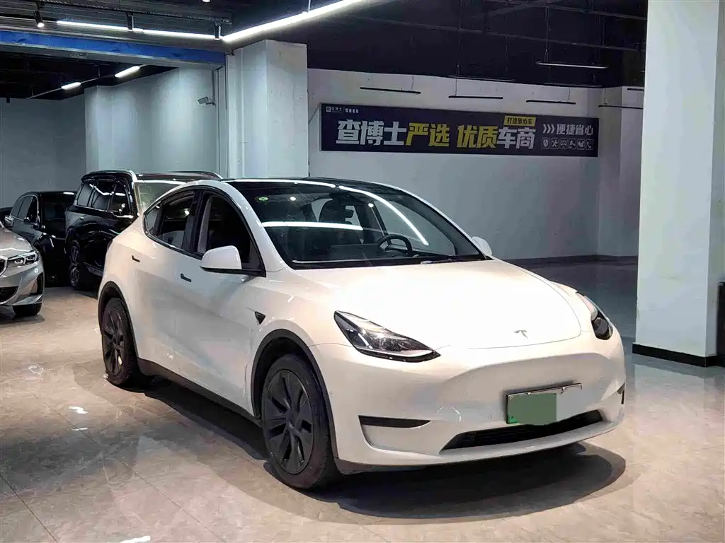 Tesla Model Y — миниатюра 3