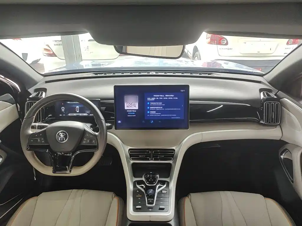 BYD Pro New Energy — миниатюра 10