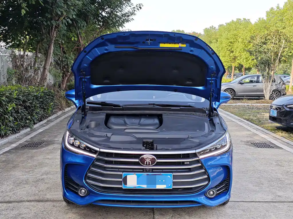 BYD MAX — миниатюра 7