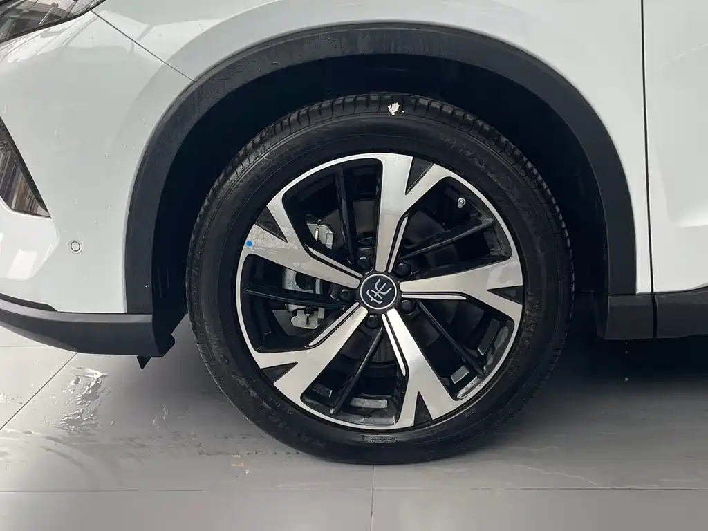 BYD Pro New Energy — миниатюра 4