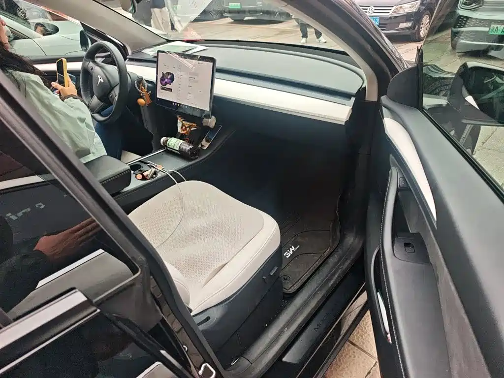 Tesla Model Y — миниатюра 19