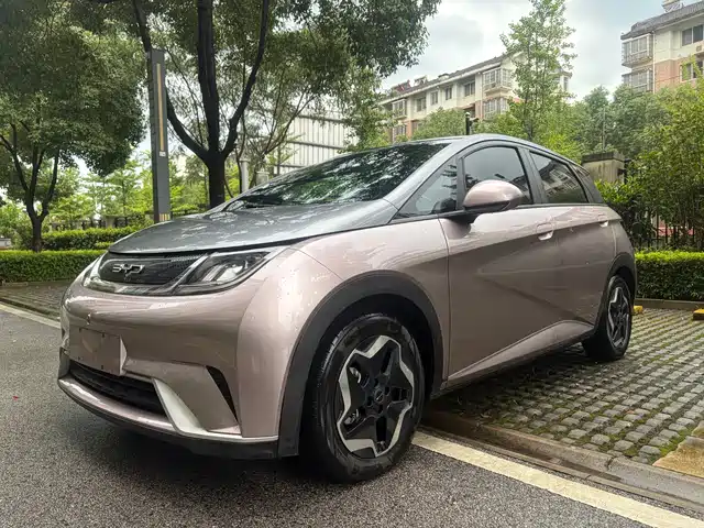 2021 BYD Dolphin