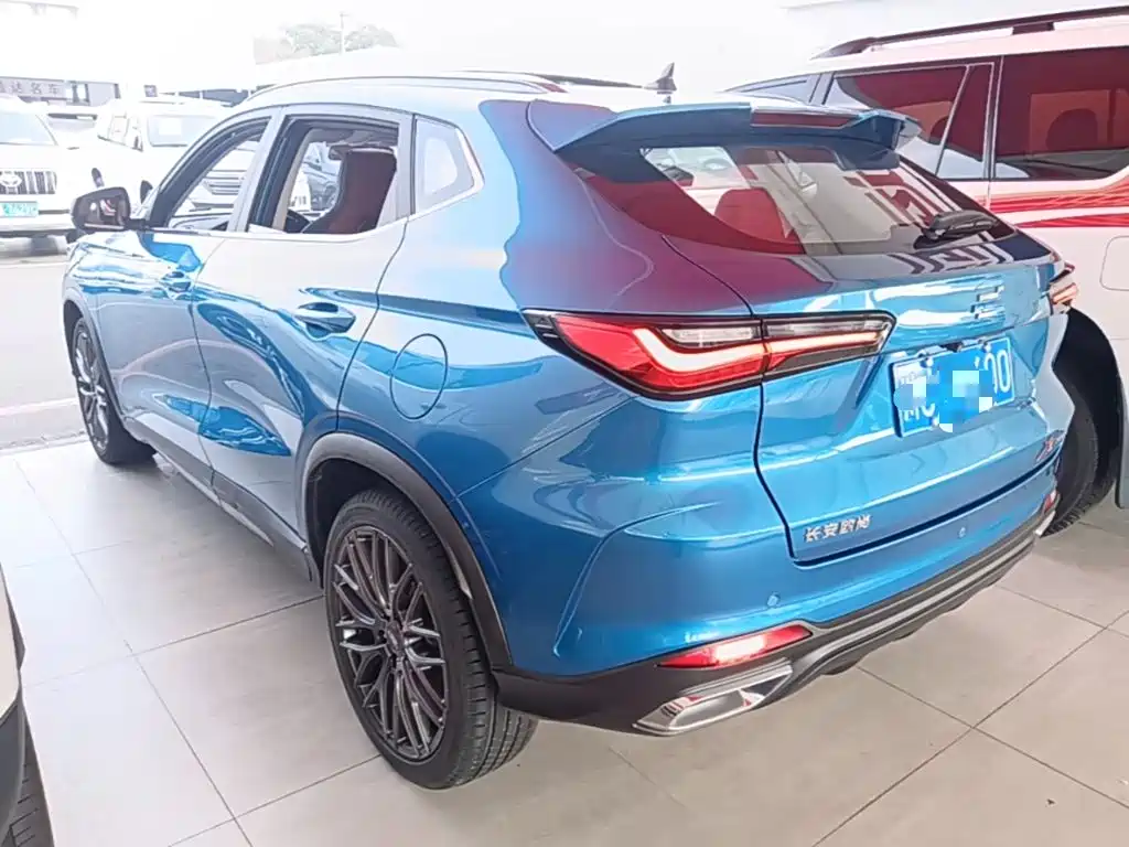 Oshan Oushang X5 — миниатюра 5