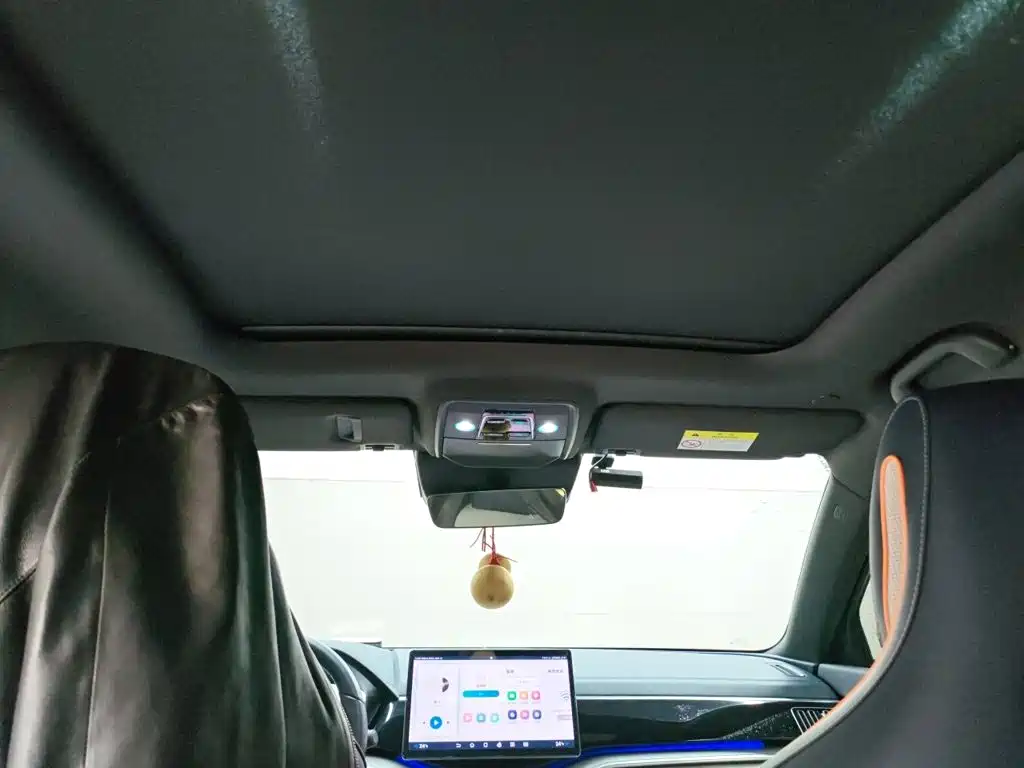 BYD PLUS New Energy — миниатюра 14