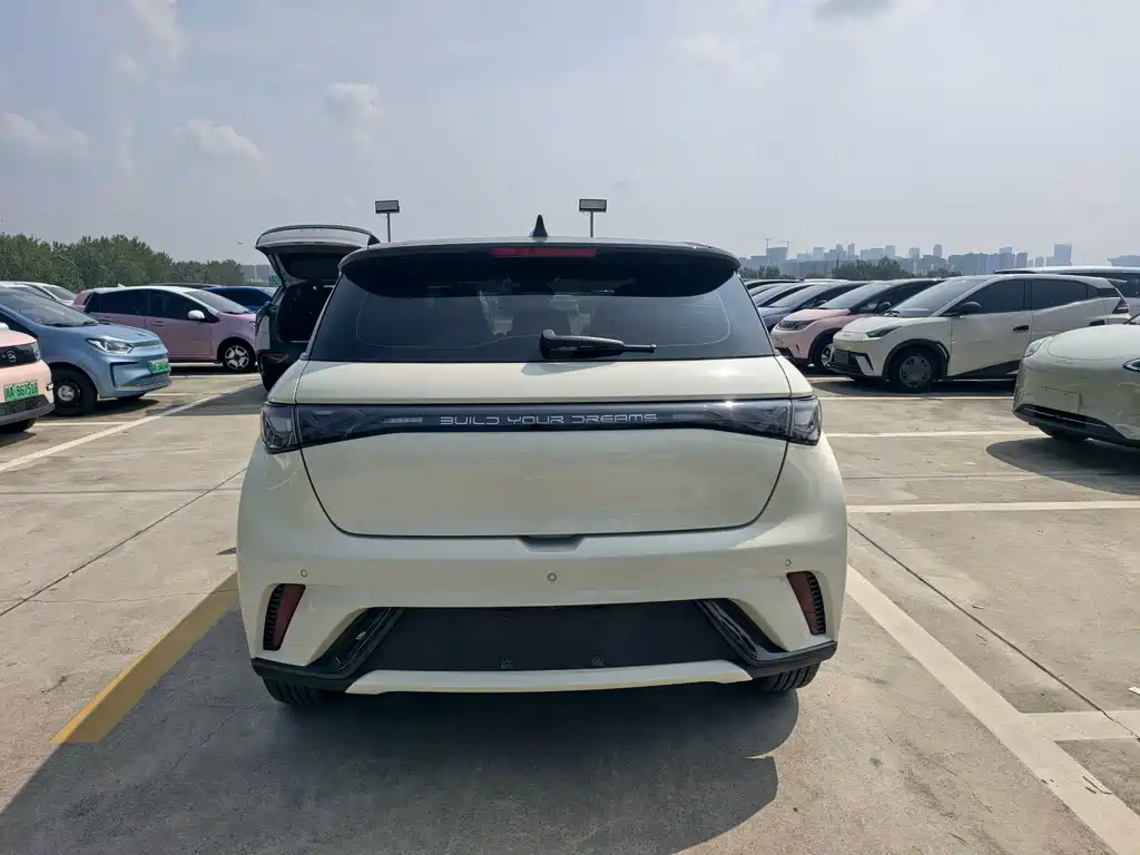 BYD Dolphin — миниатюра 6