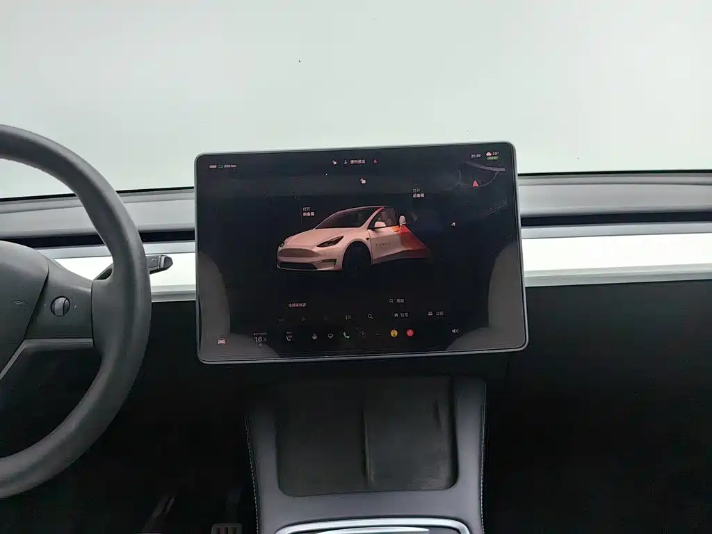 Tesla Model Y — миниатюра 12