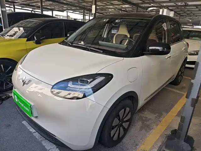 Wuling Bingo