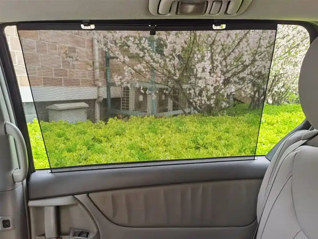 Toyota Sienna 2010 Sienna