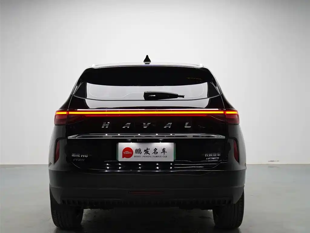 Haval H6 New Energy — миниатюра 14