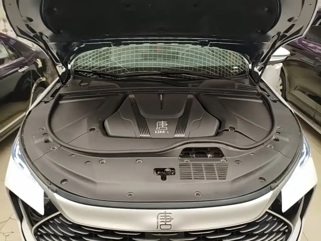 BYD Tang New Energy — миниатюра 20