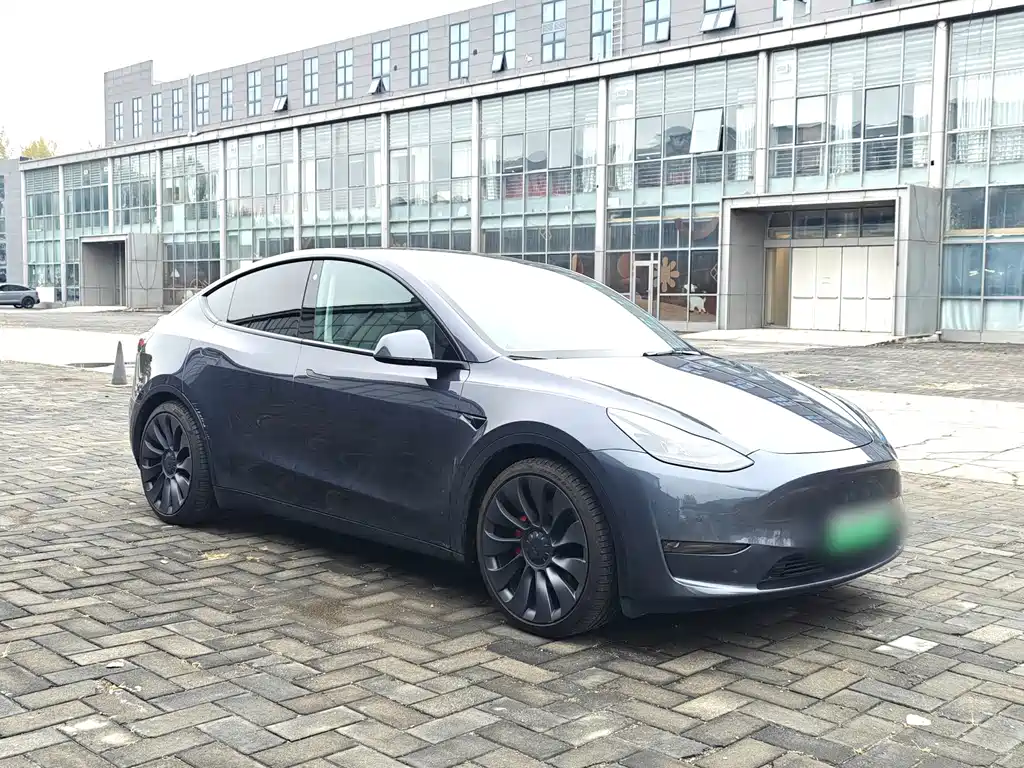 Tesla Model Y — миниатюра 5