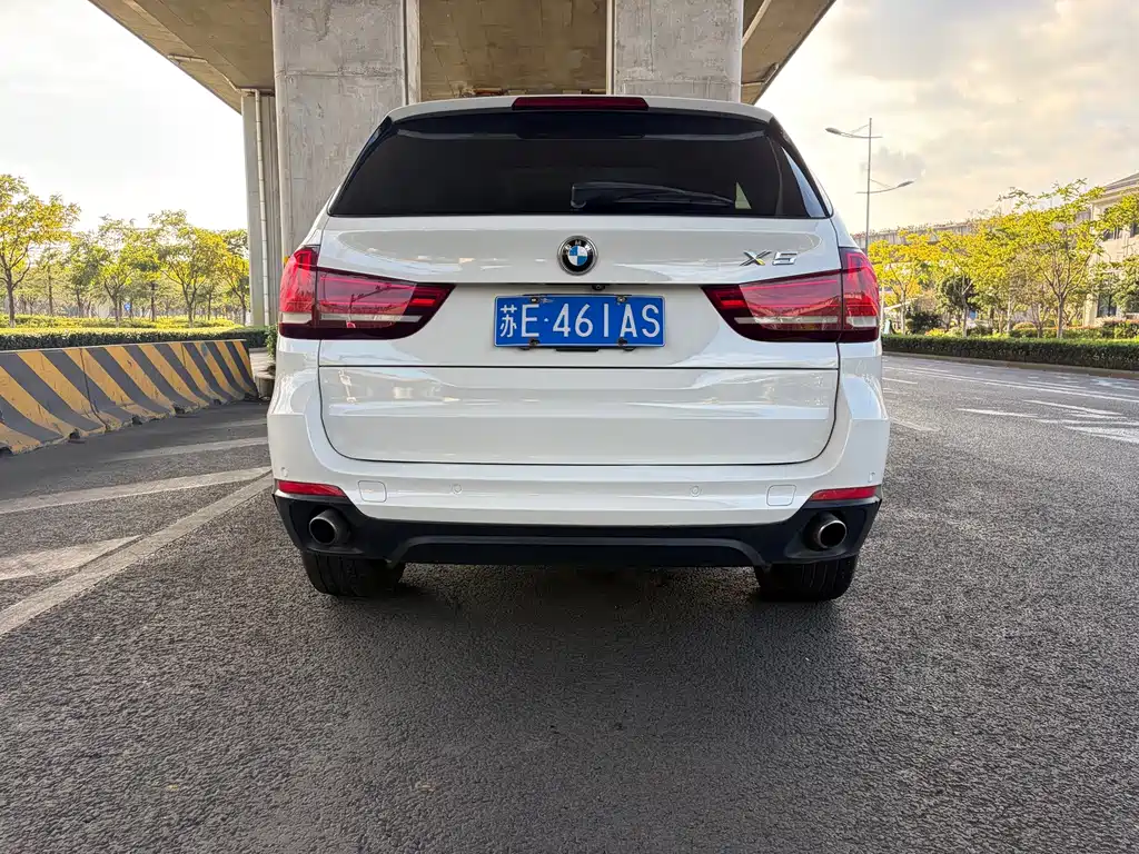 BMW X5 (Import) — миниатюра 9