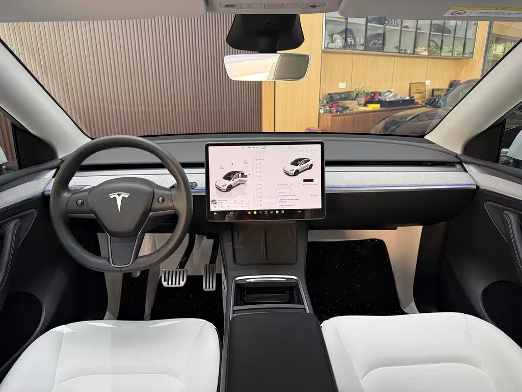 Tesla Model Y — миниатюра 15