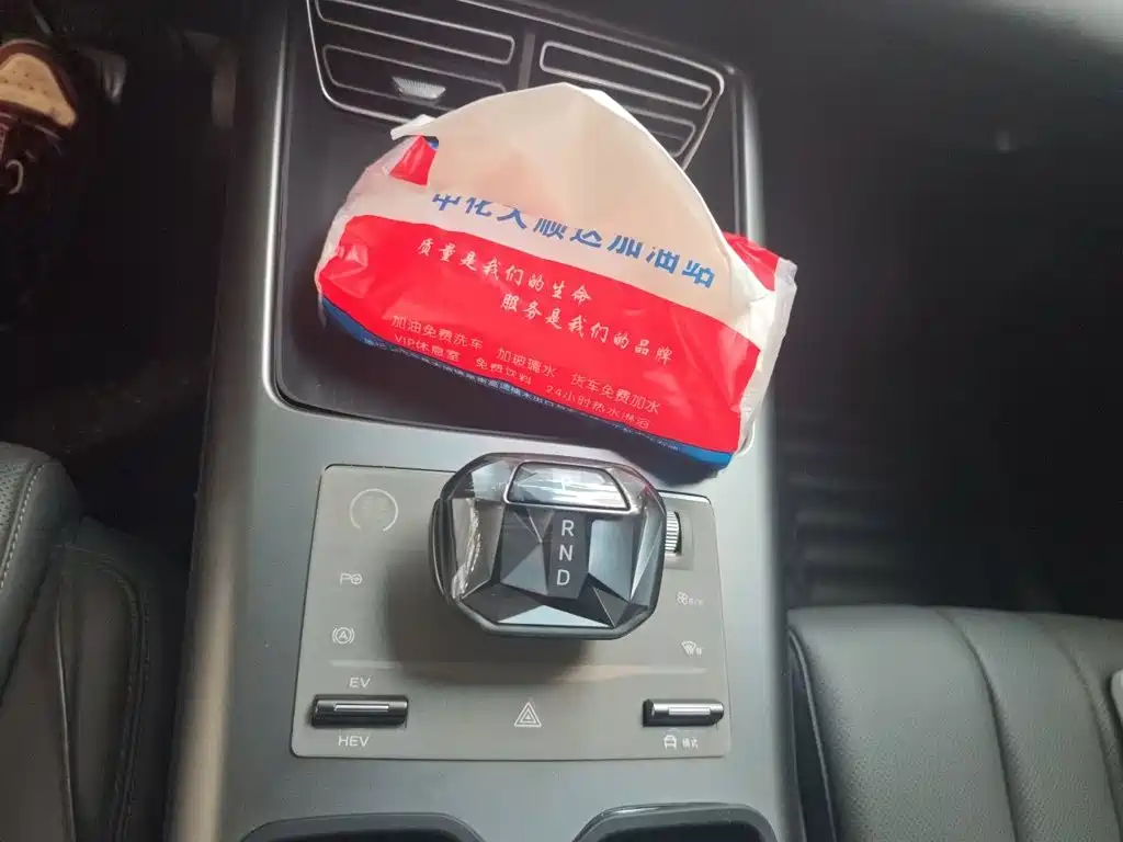 BYD Pro New Energy — миниатюра 10
