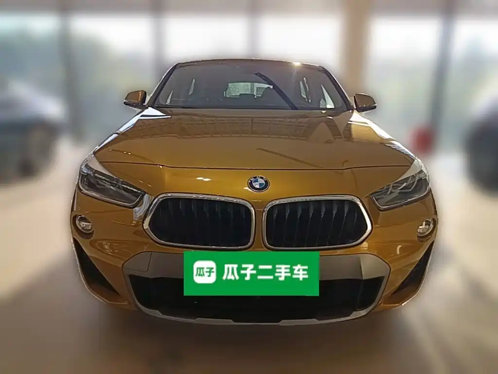 BMW X2 (Import) — миниатюра 5