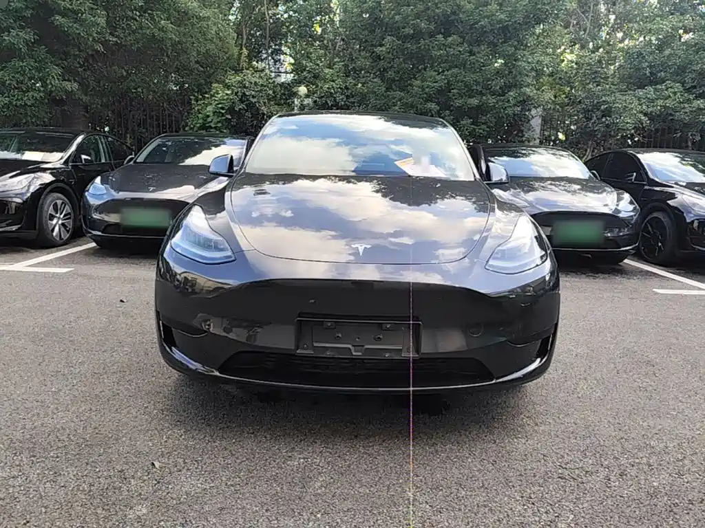 Tesla Model Y — миниатюра 3