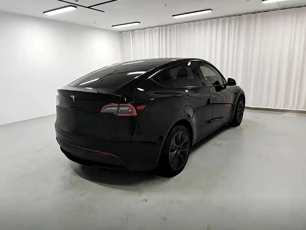 Tesla Model Y — миниатюра 6