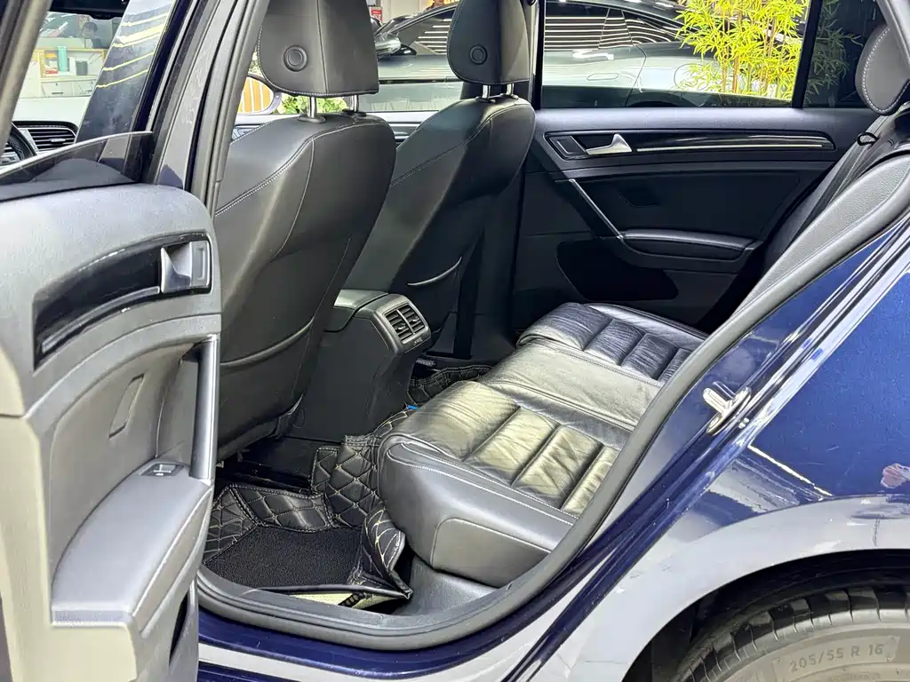 Volkswagen Golf New Energy (Import) — миниатюра 9