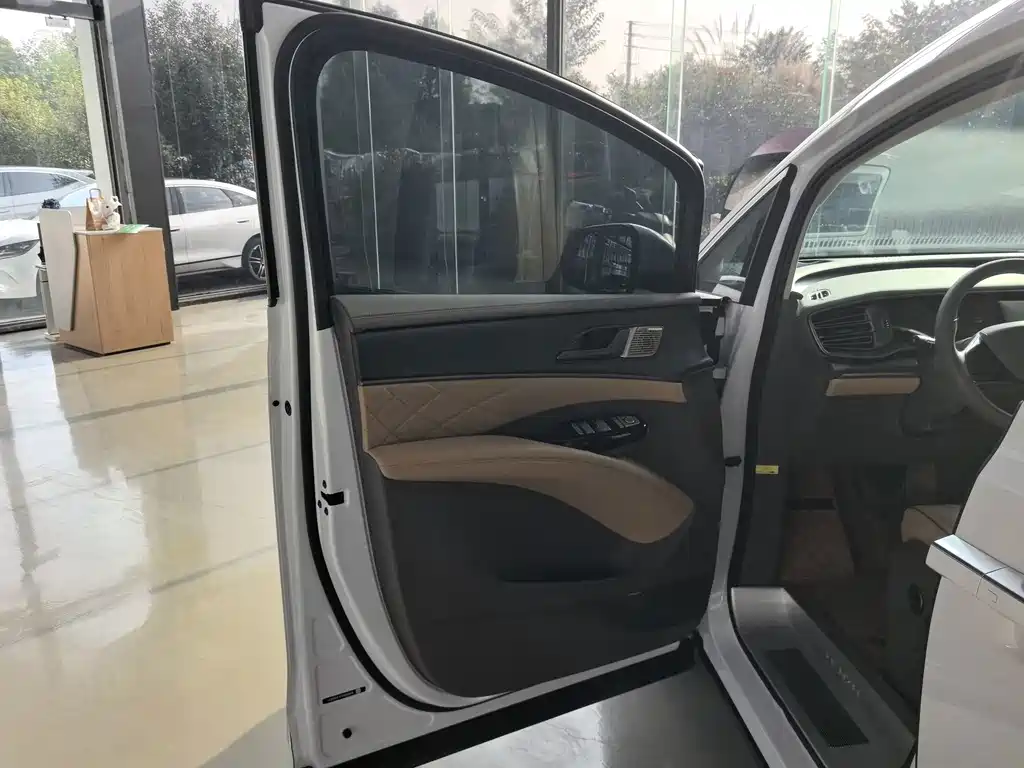 Denza Denza D9 — миниатюра 3