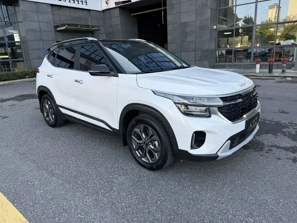Kia Seltos — миниатюра 8