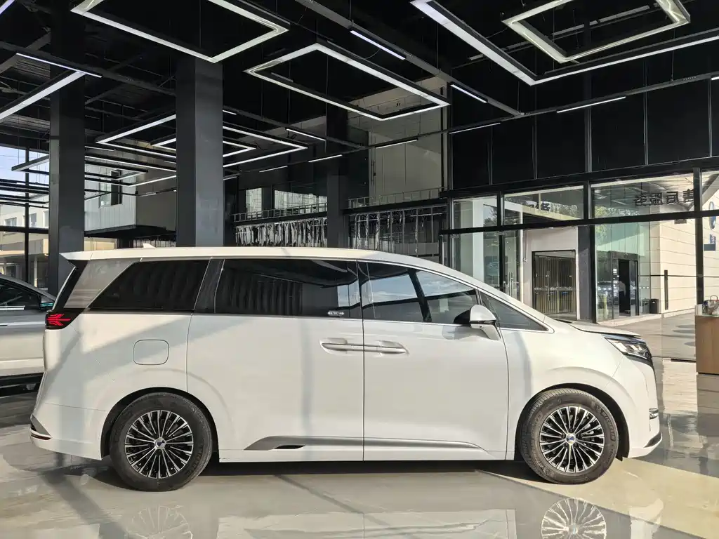 Denza Denza D9 — миниатюра 19