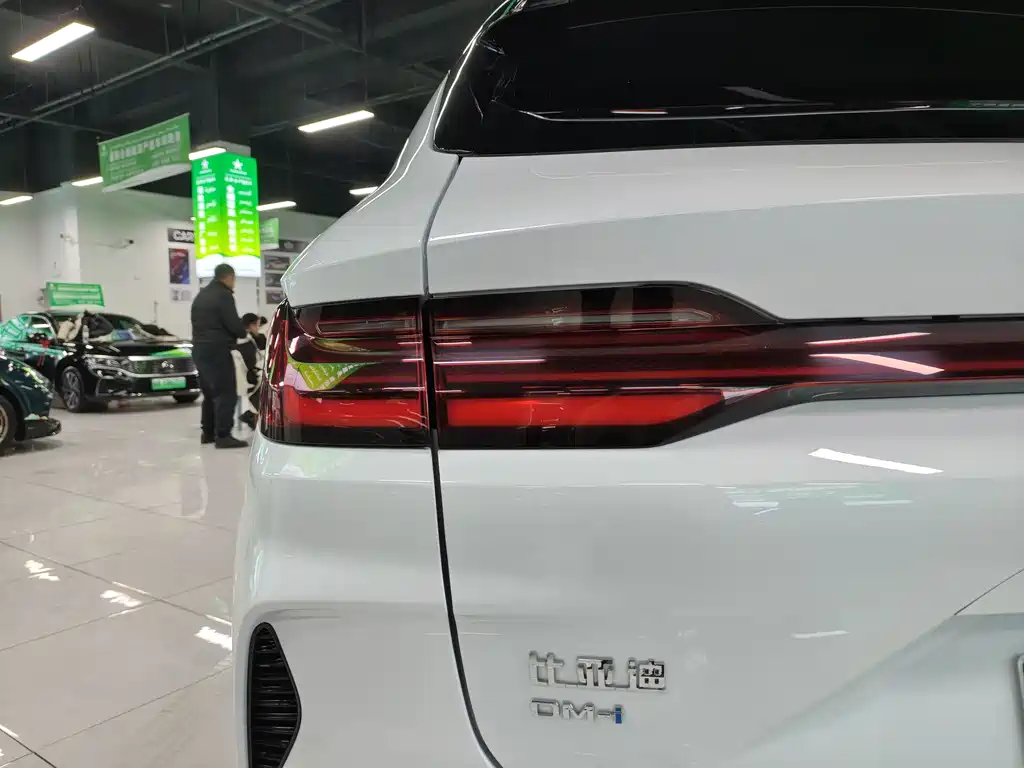 BYD SONGJIANG NEW ENERGY