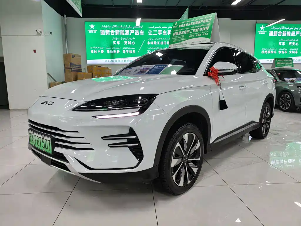 BYD SONGJIANG NEW ENERGY