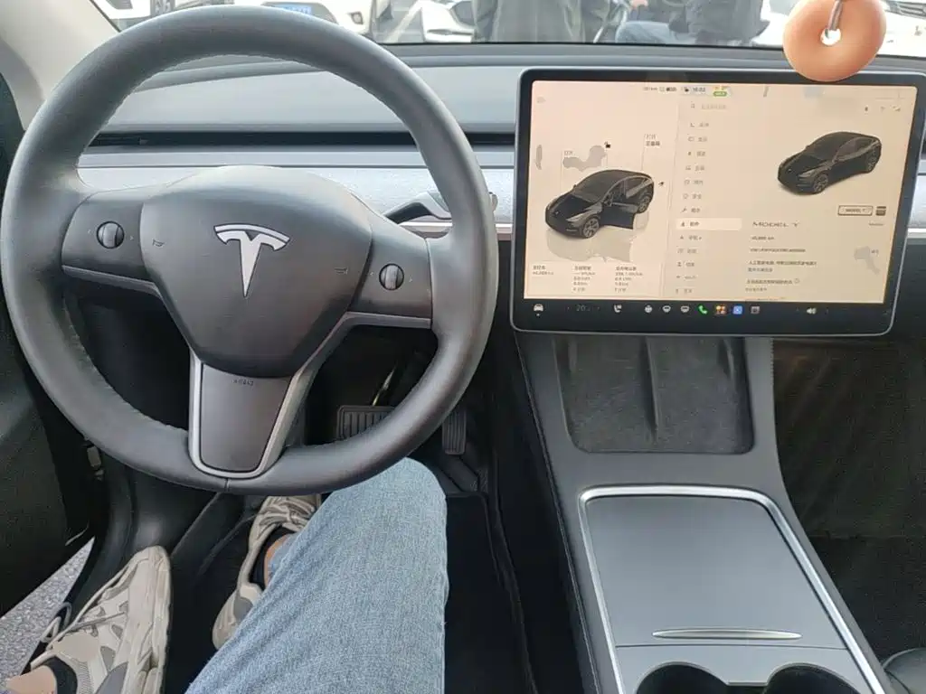 Tesla Model Y — миниатюра 10