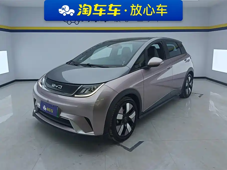 BYD DOLPHIN