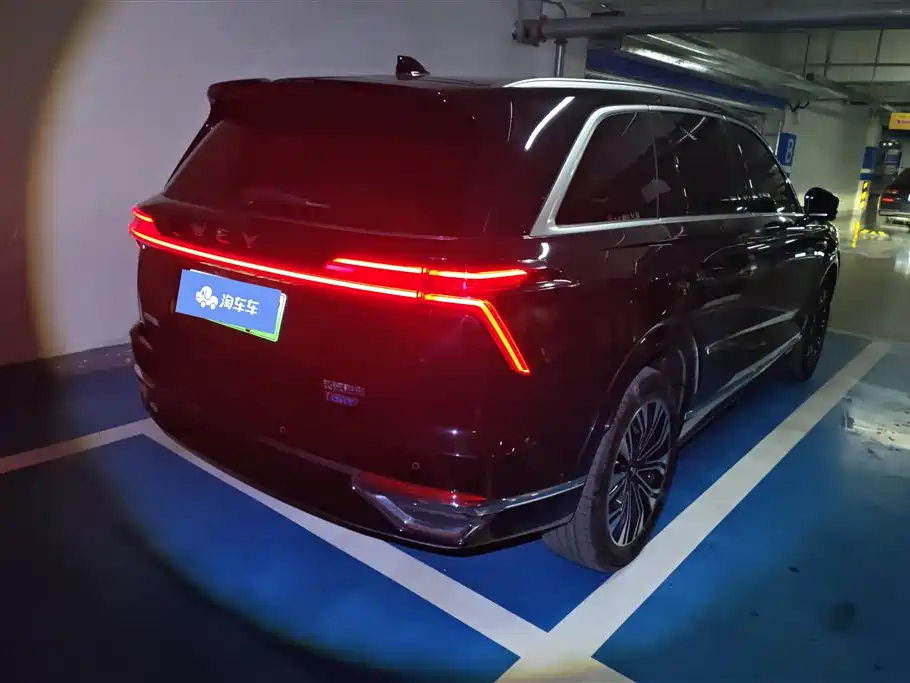 WEI PAI WEI BRAND BLUE MOUNTAIN