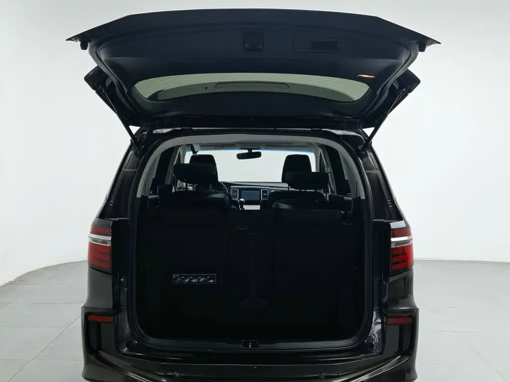 Honda Elysion — миниатюра 16