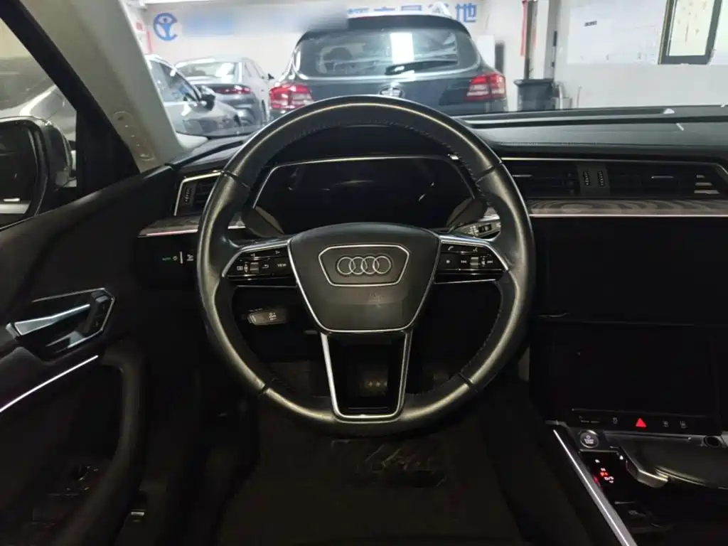 Audi e-tron (Import) — миниатюра 11